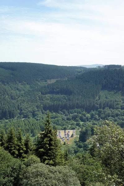 爱尔兰的风景 周末威克洛森林小径 — 图库照片
