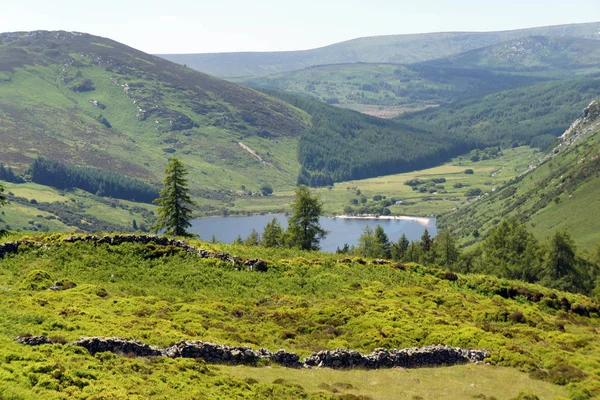 Landschaften Von Ireland Wicklow Berge — Stockfoto