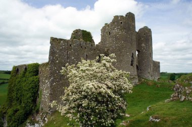 Roche Castle.Ireland kalıntıları.