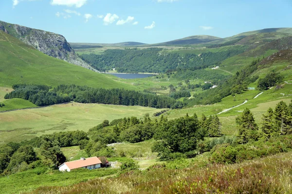 Sommartid Wicklow Mountains Ireland — Stockfoto