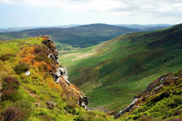 Wicklow Dağları'nda Ireland.Summer manzara.