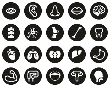 İnsan Anatomisi ya da İnsan Vücut Parçaları Simgesi Siyah Düz Tasarım Çemberi Büyük