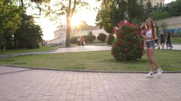 Hermosa chica caminando con su pequeño perro en el parque de la ciudad — Vídeos de Stock