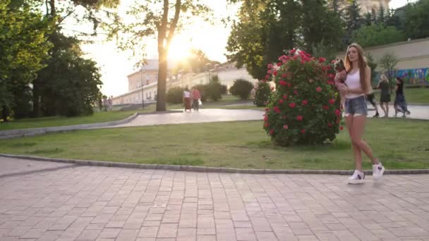 Όμορφο κορίτσι βόλτες με το μικρό σκύλο στο πάρκο της πόλης — Αρχείο Βίντεο