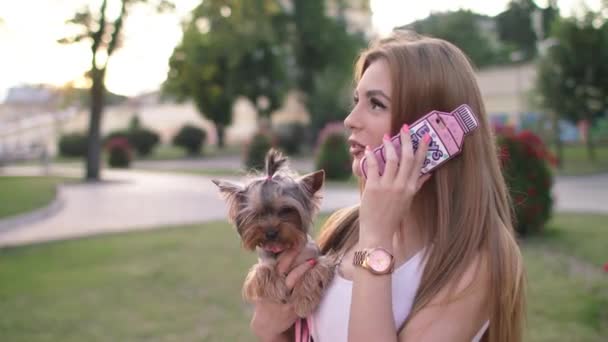 Hermosa chica caminando con su pequeño perro en el parque de la ciudad — Vídeo de stock