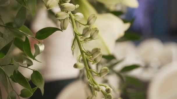 Interior de una decoración de salón de bodas. Hermosas mesas de boda servidas — Vídeo de stock