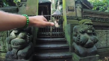 Budist tapınağı. Tayland.