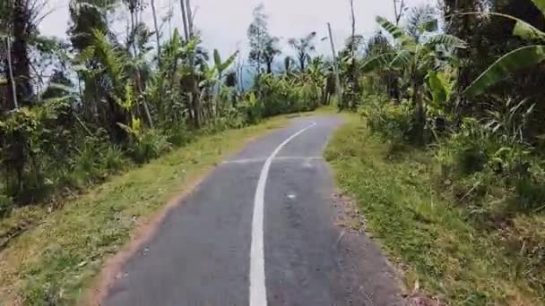 Reis langs de weg. Pad in Maleisië. — Stockvideo