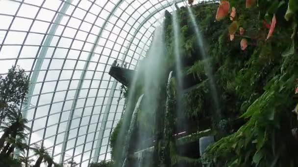 Giardino Botanico Di Singapore . — Video Stock