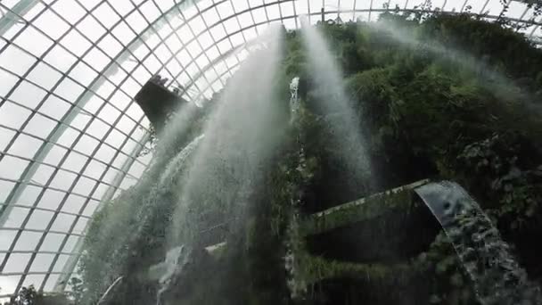 Giardino Botanico Di Singapore . — Video Stock