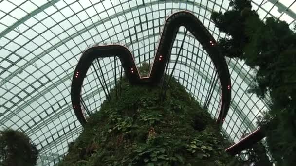 Ogród botaniczny w Singapurze. — Wideo stockowe