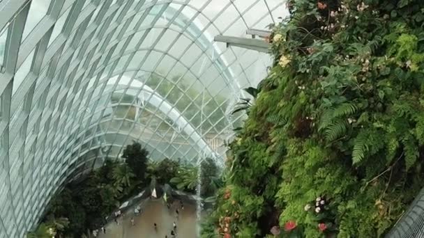 Botanická zahrada Singapur. — Stock video