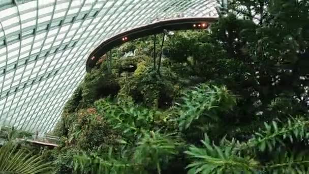 Ботанический сад Сингапура . — стоковое видео