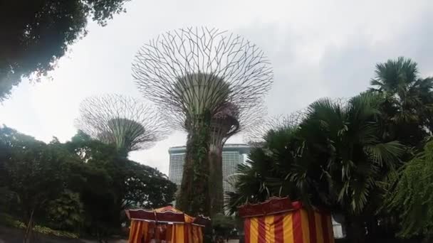 Krásný park. Singapur. — Stock video