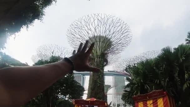 La personne s'amuse. Magnifique Park. Singapour . — Video