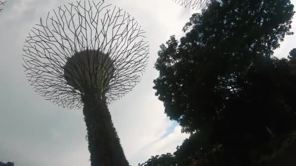 Prachtig park. Singapore. — Stockvideo