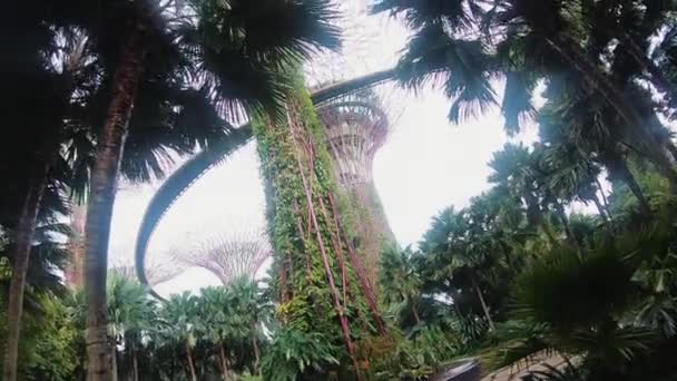 Frumos Park. Singapore . — Videoclip de stoc