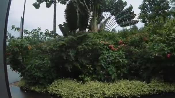 Frumos Park. Singapore . — Videoclip de stoc