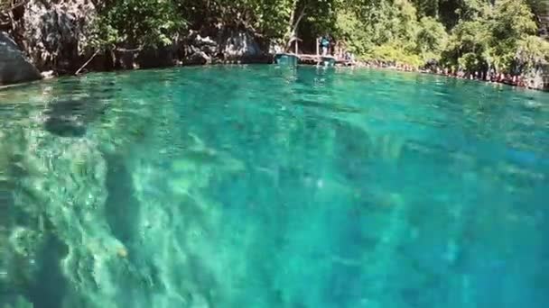 Plongée dans le lac. Nature De L'Asie Du Sud-Est . — Video