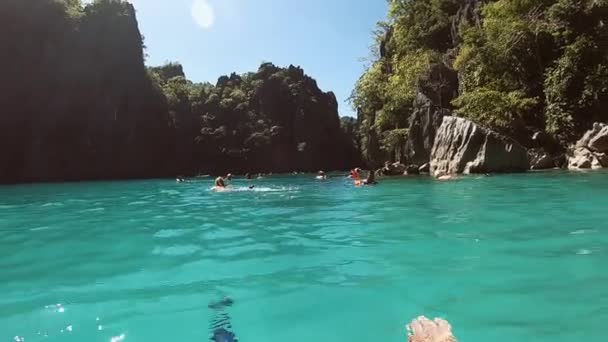 Hermoso lago. Nadando. Nature Of South East Asia. Upper Seletar Park, Singapur . — Vídeos de Stock