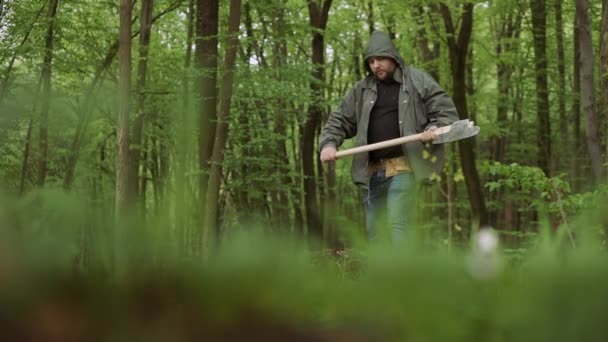 Primer plano de trabajo con Big Ax en bosque caducifolio salvaje . — Vídeos de Stock