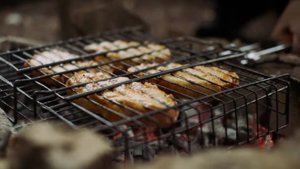 Heerlijke barbecue eten op hete grill voor outdoor friends Party. — Stockvideo