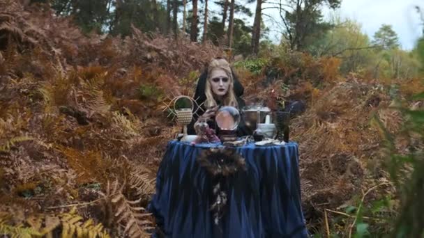Imagen de Halloween. Retrato de bruja joven . — Vídeo de stock