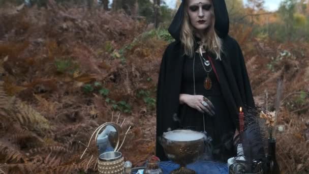 Young Witch Fortune-Tellers In The Forest. Halloween Image. — Stock Video