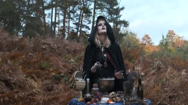 Ifjú jövendőmondó boszorkány az erdőben. Halloween kép. — Stock videók