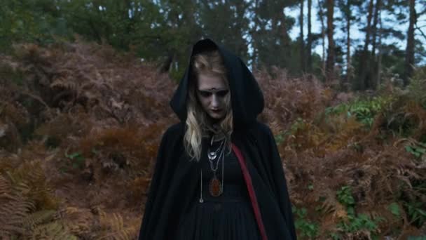 Halloween-Bild. Porträt der jungen Hexe. — Stockvideo