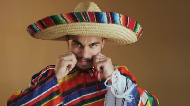 Joven mexicano en poncho multicolor y sombrero. — Vídeos de Stock