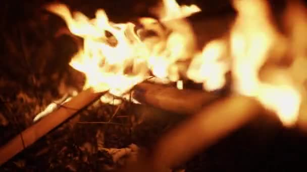 An Easel Is Burning On The Grass. Picture Burns Out In The Dark. — Stock Video