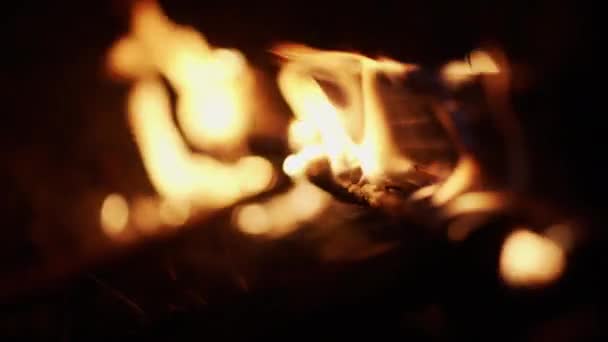 Een Ezel brandt op het gras. Het beeld brandt uit in het donker.. — Stockvideo