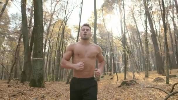 Idrottare Jogga i skogen. — Stockvideo