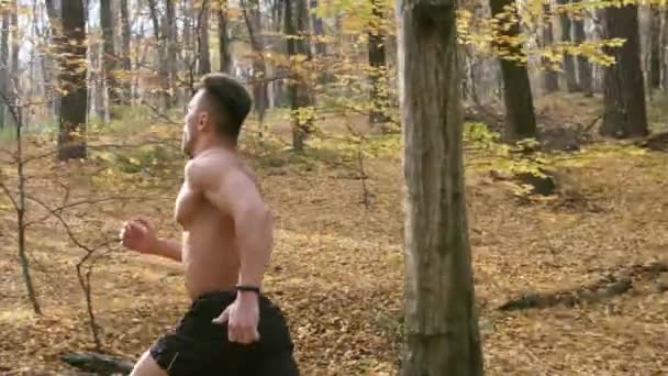 Sportowiec jogging w lesie. — Wideo stockowe