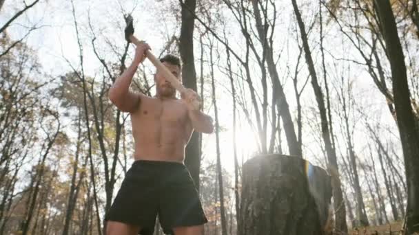Ένας δυνατός τύπος με γυμνό Torso κόβει καυσόξυλα με ένα βελανίδι στο δάσος — Αρχείο Βίντεο