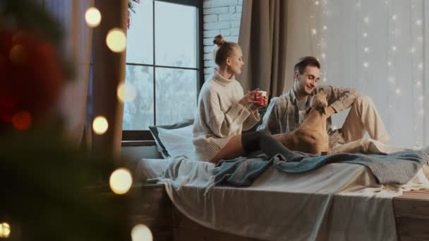 Nouvel An. Jeune couple dans un appartement confortable. Couple et leur chien au lit. Ils boivent du thé. — Video