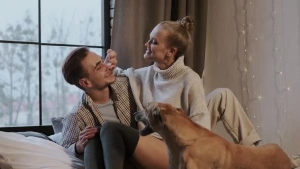 Neujahr. Junges Paar in gemütlicher Wohnung. Paar und ihr Hund im Bett. — Stockvideo