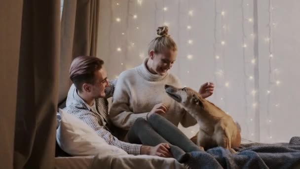Neujahr. Junges Paar in gemütlicher Wohnung. Paar und ihr Hund im Bett. — Stockvideo