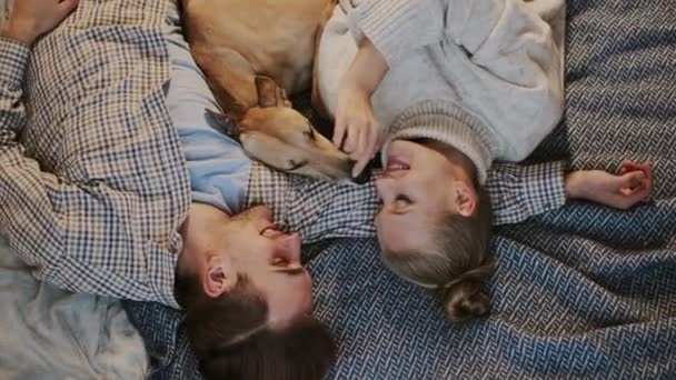 Πρωτοχρονιά. Ζευγάρι και ο σκύλος τους στο κρεβάτι. Ζευγάρι ερωτευμένο αισθάνεται ευτυχία. — Αρχείο Βίντεο