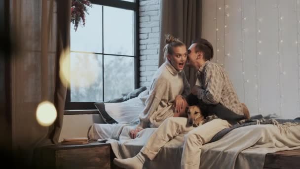 Nouvel An. Jeune couple dans un appartement confortable. Couple et leur chien au lit. — Video