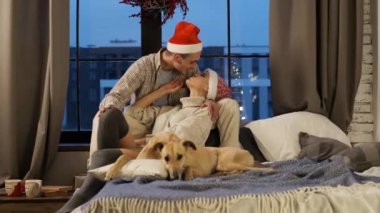 Yeni yıl. Yeni yıl arifesinde genç bir çift köpekleriyle evde..