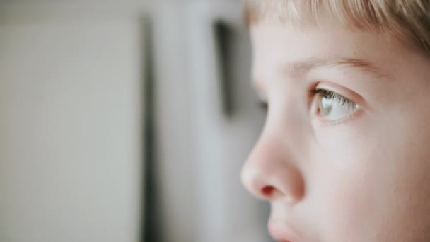 Portret van kleine schattige jongen. — Stockvideo