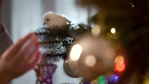 Yeni yıl. Elinde Noel ağacı süslemesi tutan komik çocuk. Çocuk Noel Ağacı 'nı süslüyor. — Stok video