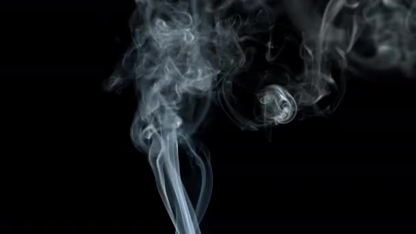 黒の背景に灰色の煙ジェットが立ち上がります。煙が散る. — ストック動画