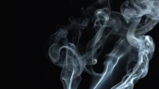 黒を背景に煙ジェットが立ち上がる。煙が散る. — ストック動画