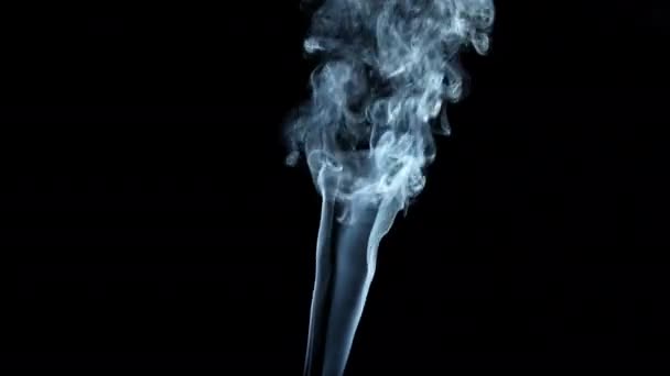 Underbar vit rök på svart bakgrund. — Stockvideo