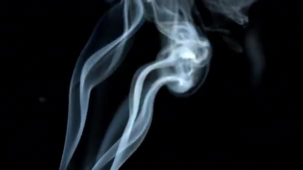 Чудесный белый дым на чёрном фоне. — стоковое видео