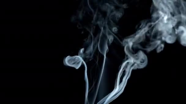 Jet dymu na czarnym tle. — Wideo stockowe