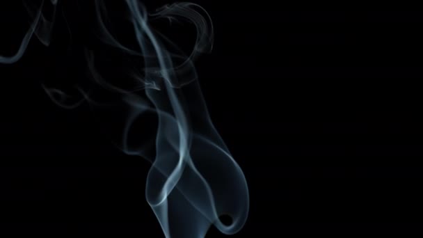 Jet de humo sobre fondo negro. — Vídeos de Stock